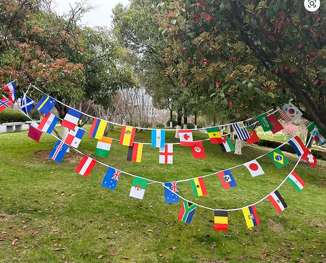 Banderas del Mundial
